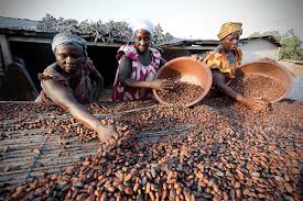 Joseph Wemakor: Large corporations supported by the government must end the abhorrent exploitation of Ghanaian cocoa farmers